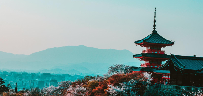 Comment immortaliser son voyage au Japon ?